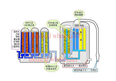 자동적인 씻기 알칼리성 물 Ionizer JM-819